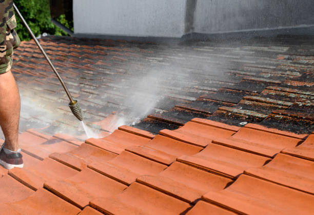 Best Pressure Washing Near Me  in Hydesville, CA