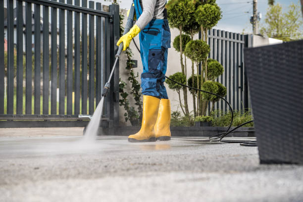 Best Exterior Home Cleaning  in Hydesville, CA